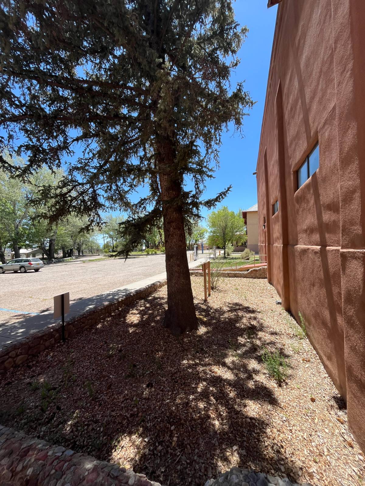 Garden area prior to the establishment of the Rain Garden